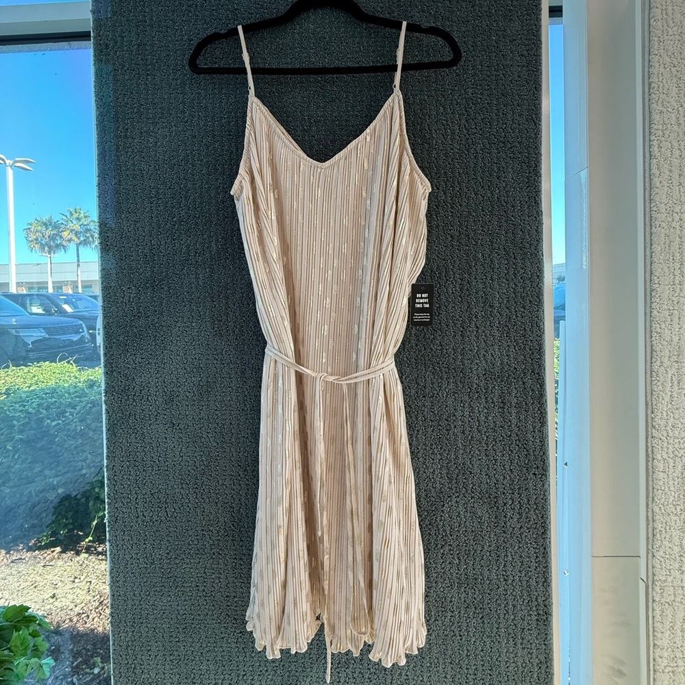 Express Cream and Gold Dress